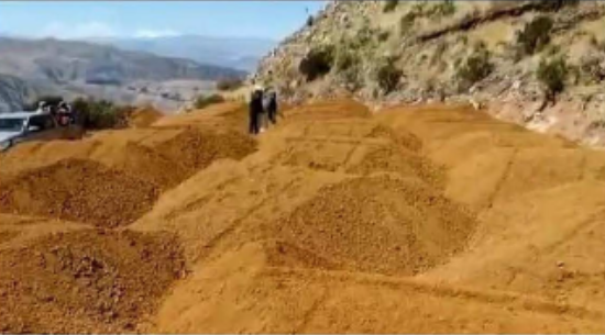 Constitución e Inicios